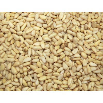 XANOS PIÑON IMPORTACION 1kg